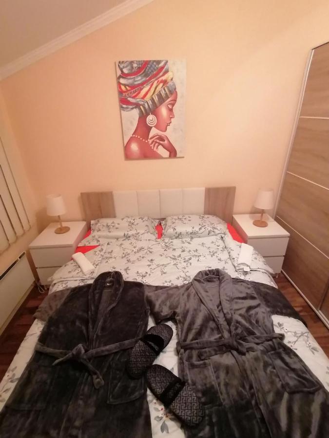 Apartman Dionis Sm Sremska Mitrovica Exterior foto